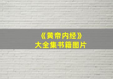 《黄帝内经》大全集书籍图片