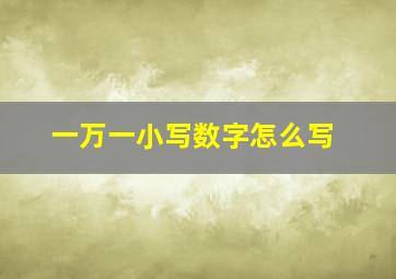 一万一小写数字怎么写