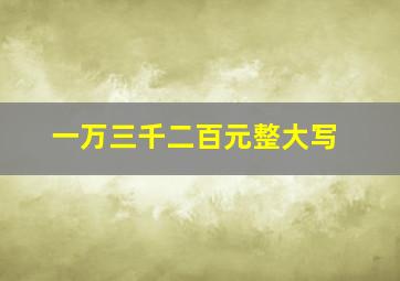 一万三千二百元整大写