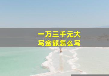 一万三千元大写金额怎么写