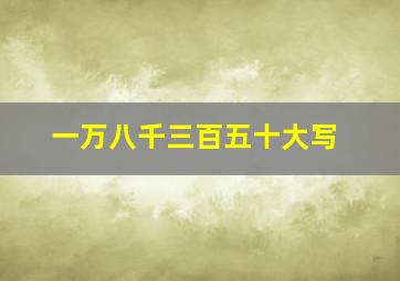 一万八千三百五十大写