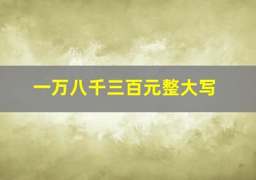 一万八千三百元整大写