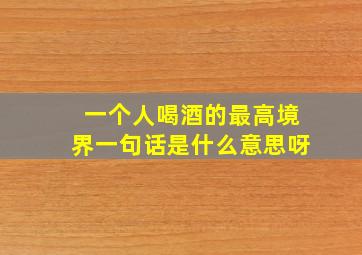 一个人喝酒的最高境界一句话是什么意思呀