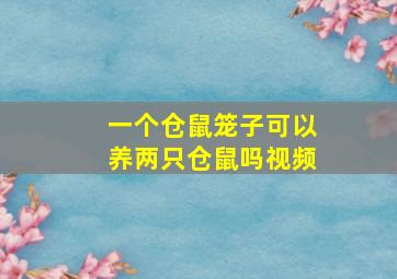 一个仓鼠笼子可以养两只仓鼠吗视频