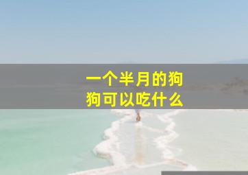 一个半月的狗狗可以吃什么