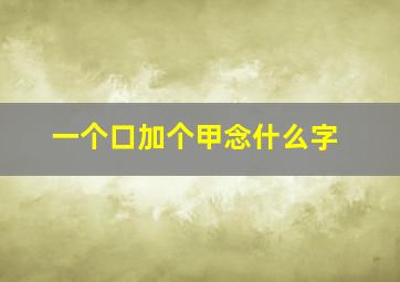 一个口加个甲念什么字