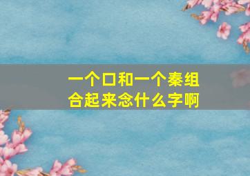 一个口和一个秦组合起来念什么字啊