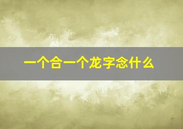 一个合一个龙字念什么