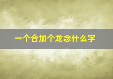 一个合加个龙念什么字