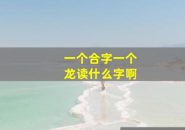 一个合字一个龙读什么字啊