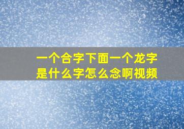 一个合字下面一个龙字是什么字怎么念啊视频