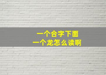 一个合字下面一个龙怎么读啊