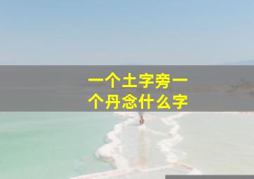 一个土字旁一个丹念什么字