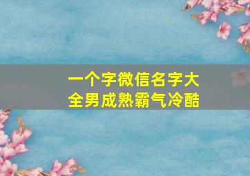 一个字微信名字大全男成熟霸气冷酷