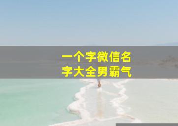 一个字微信名字大全男霸气