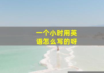 一个小时用英语怎么写的呀