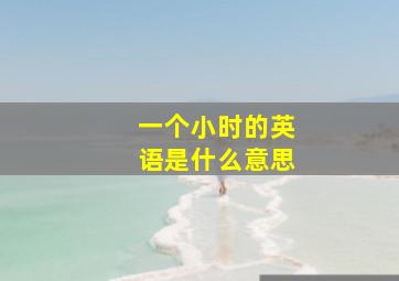 一个小时的英语是什么意思