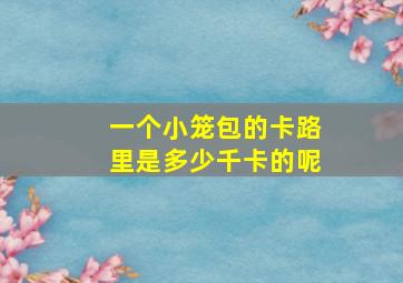 一个小笼包的卡路里是多少千卡的呢