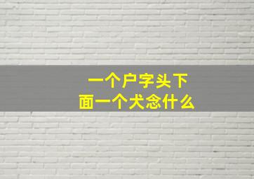 一个户字头下面一个犬念什么