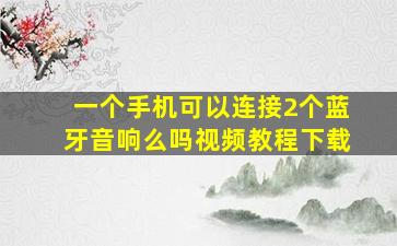 一个手机可以连接2个蓝牙音响么吗视频教程下载