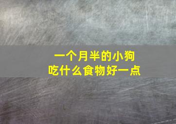 一个月半的小狗吃什么食物好一点