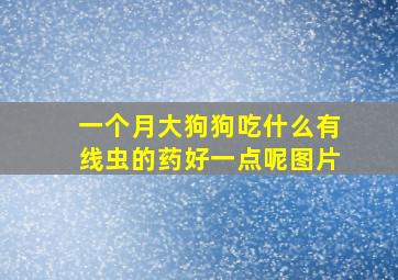 一个月大狗狗吃什么有线虫的药好一点呢图片