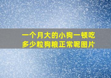 一个月大的小狗一顿吃多少粒狗粮正常呢图片