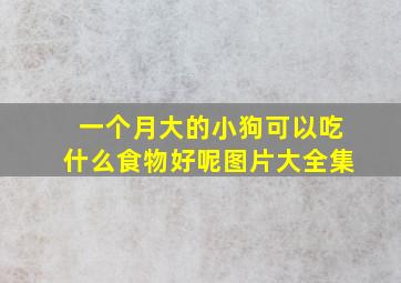 一个月大的小狗可以吃什么食物好呢图片大全集