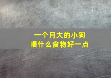 一个月大的小狗喂什么食物好一点