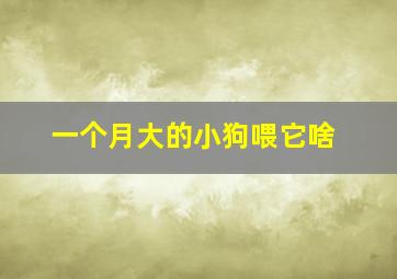 一个月大的小狗喂它啥