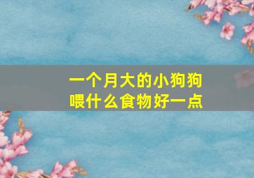 一个月大的小狗狗喂什么食物好一点