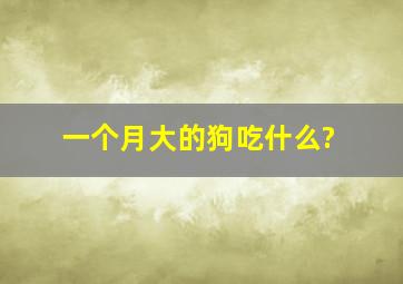 一个月大的狗吃什么?