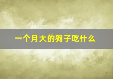 一个月大的狗子吃什么