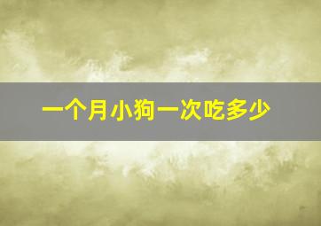 一个月小狗一次吃多少