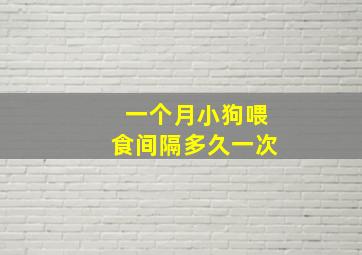 一个月小狗喂食间隔多久一次