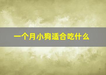 一个月小狗适合吃什么