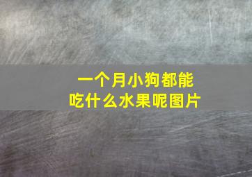 一个月小狗都能吃什么水果呢图片