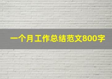 一个月工作总结范文800字