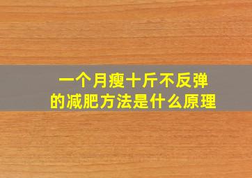 一个月瘦十斤不反弹的减肥方法是什么原理