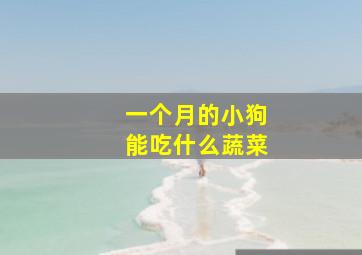 一个月的小狗能吃什么蔬菜