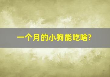 一个月的小狗能吃啥?