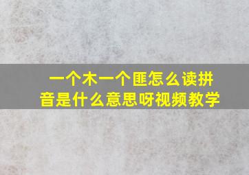 一个木一个匪怎么读拼音是什么意思呀视频教学