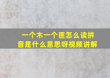 一个木一个匪怎么读拼音是什么意思呀视频讲解