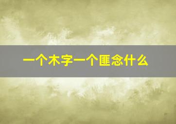 一个木字一个匪念什么