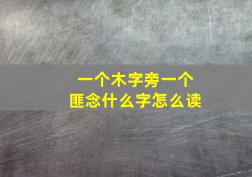 一个木字旁一个匪念什么字怎么读