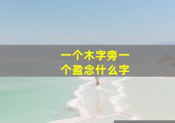 一个木字旁一个盈念什么字