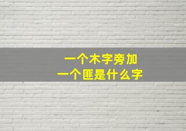 一个木字旁加一个匪是什么字