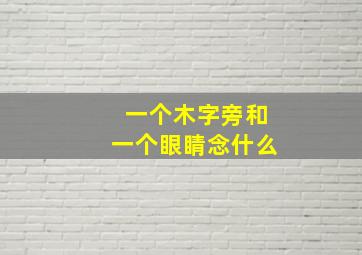 一个木字旁和一个眼睛念什么