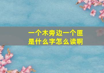 一个木旁边一个匪是什么字怎么读啊