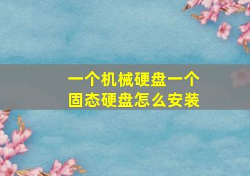 一个机械硬盘一个固态硬盘怎么安装